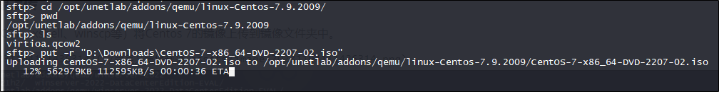 image-20231104223244338