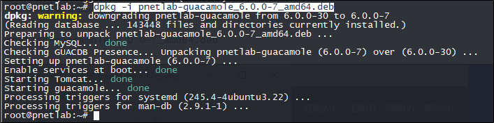 image-20240223155619641