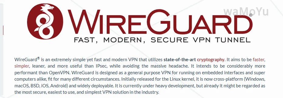 WireGuard