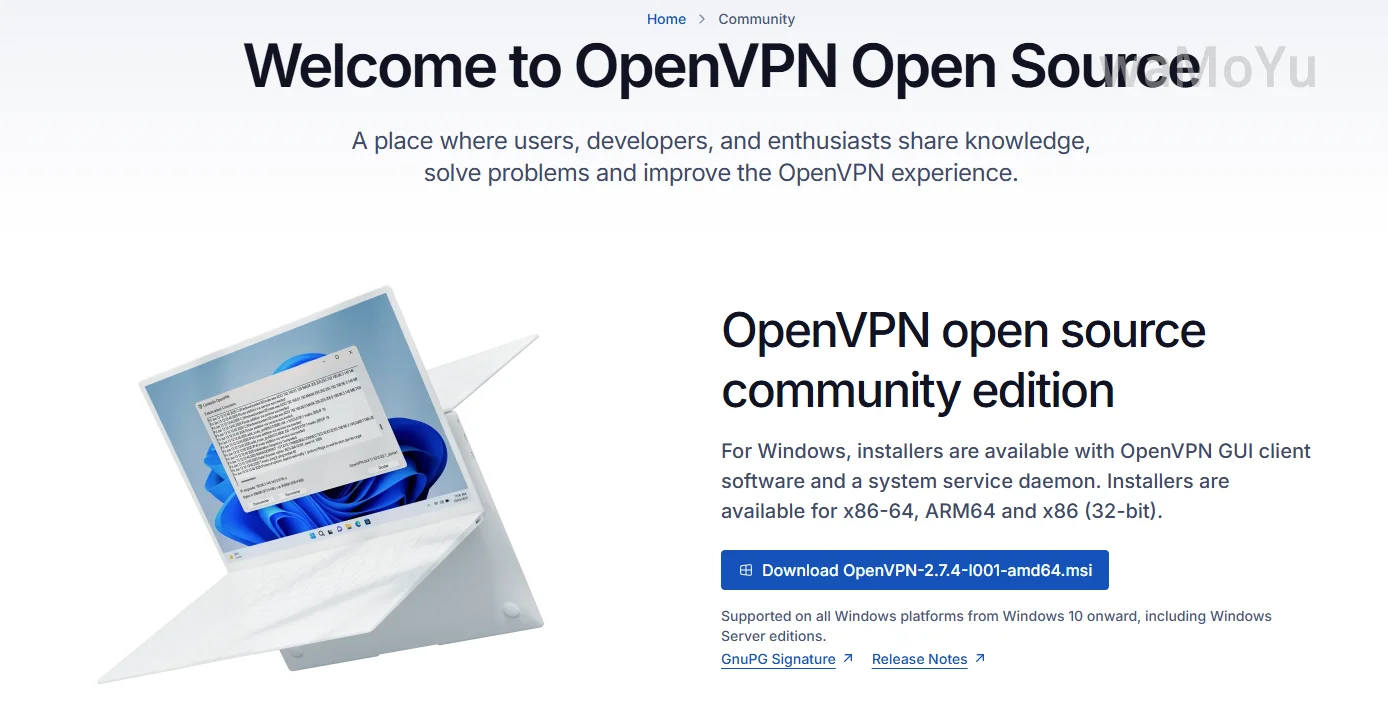 OpenVPN