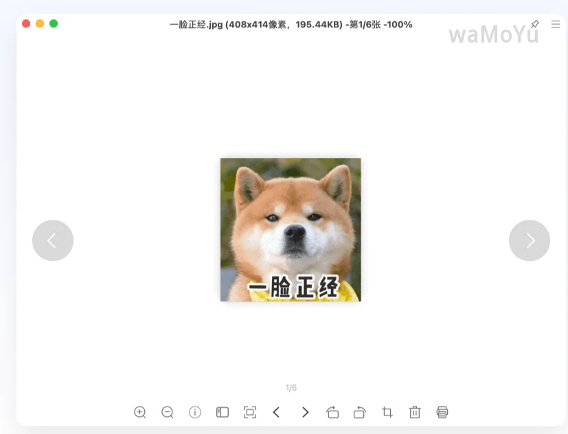 灵猫看图