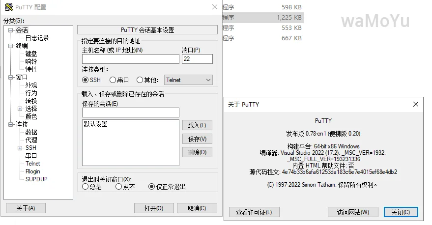 Putty